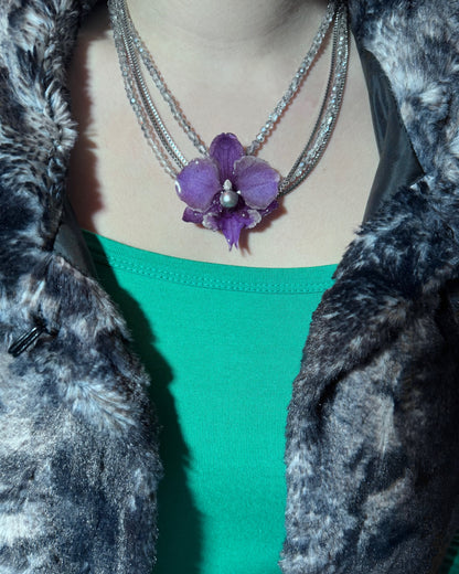 Grey pearl orchid