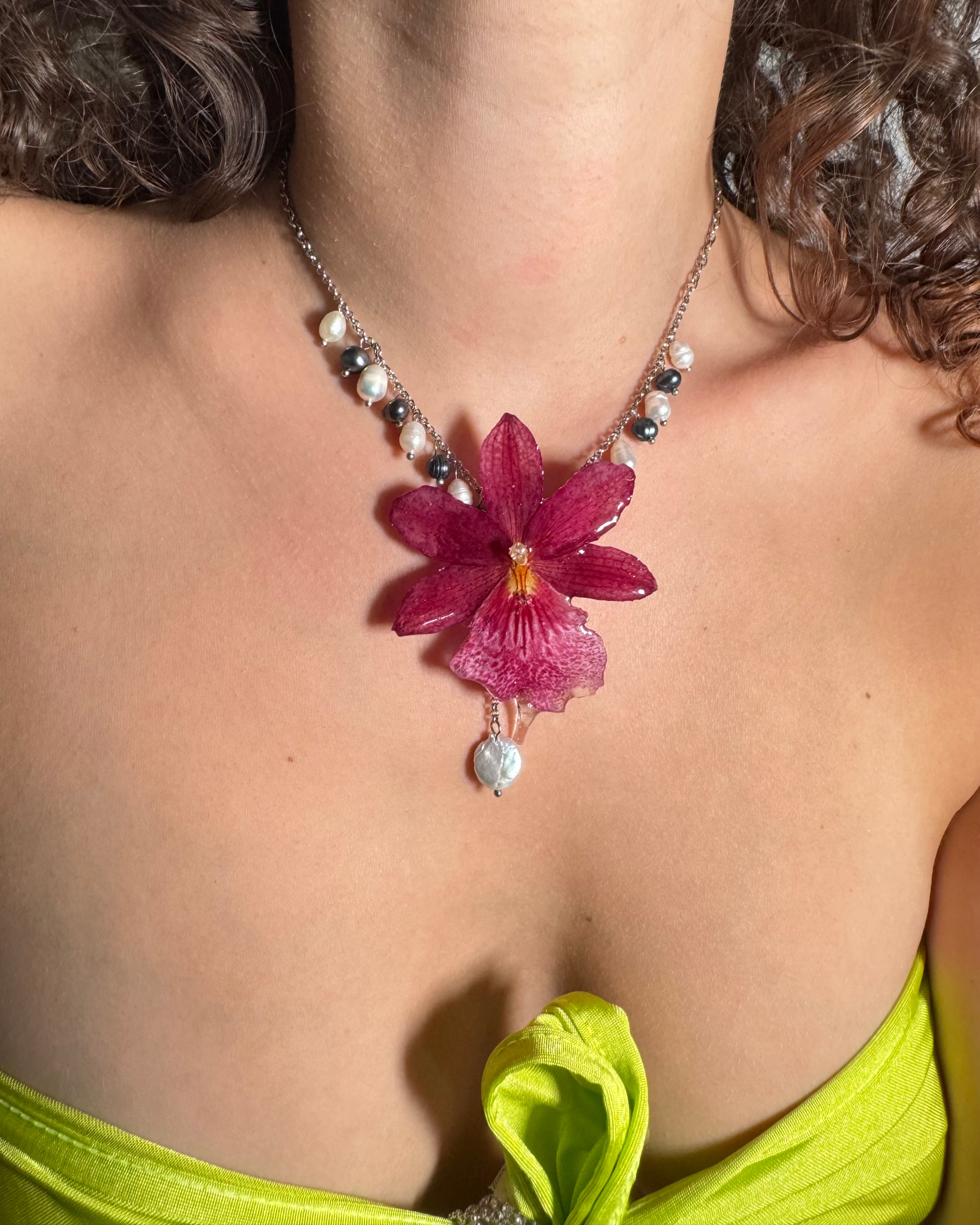 Darcy orchid