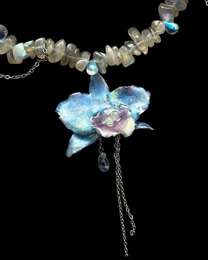 Nymph orchid