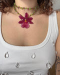 Setla orchid