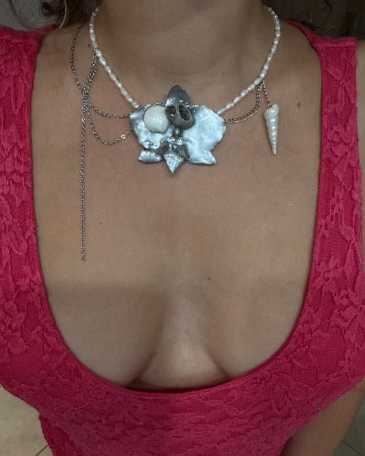 Chrome shell orchid