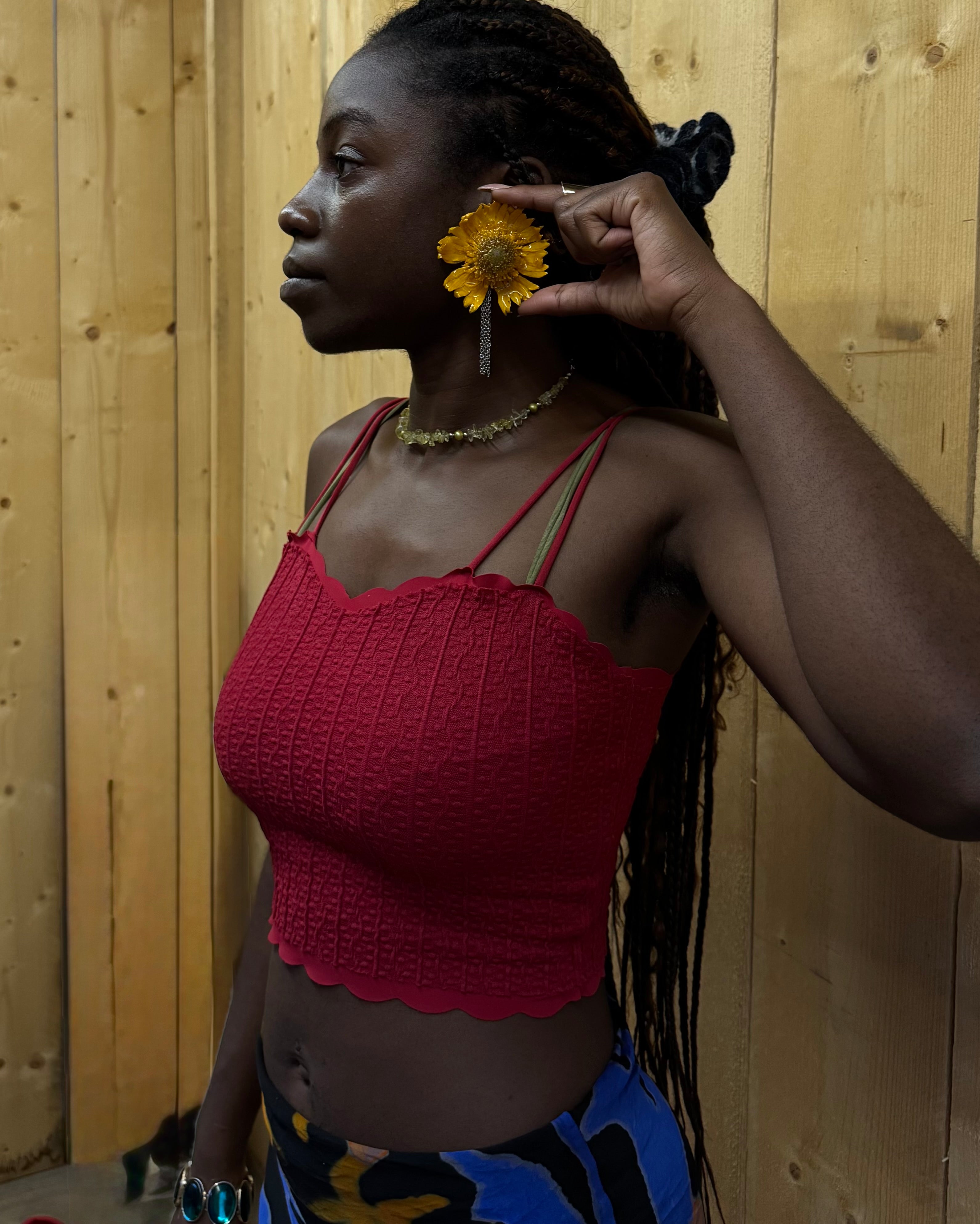 Yellow gerberia daisie