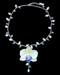 White & blue orchid