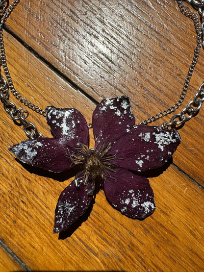 Burgunder-Clematis