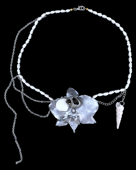Chrome shell orchid