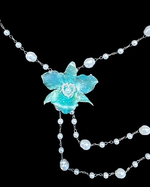 Baby blue dendrobium