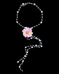 Pink daisy