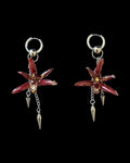 Mini brassia orchid