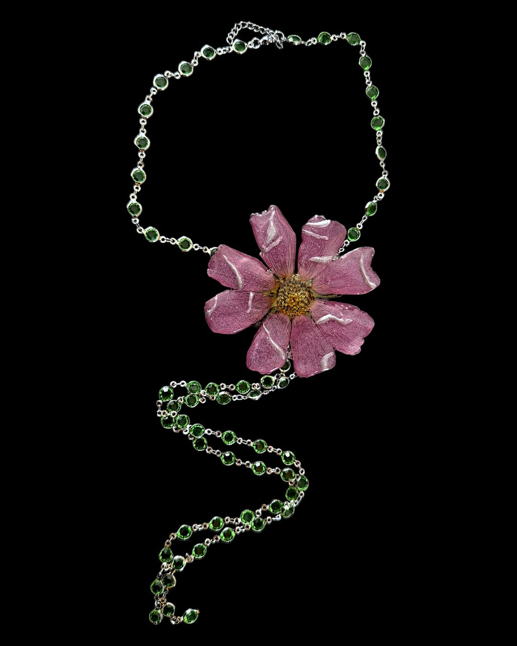 Purpurfarbener Kosmos