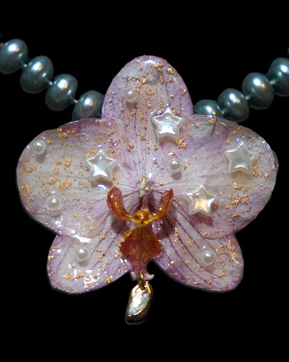 Big star orchid