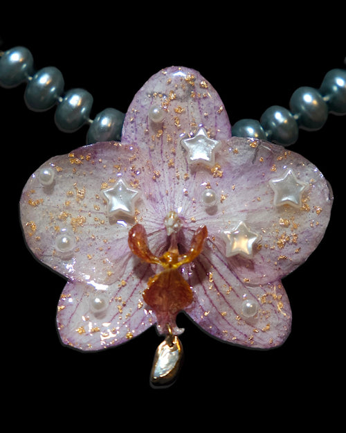 Big star orchid