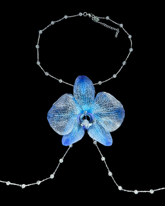 Big blue orchid