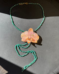 Butterfly orchid