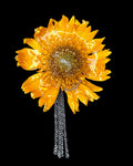 Yellow gerberia daisie