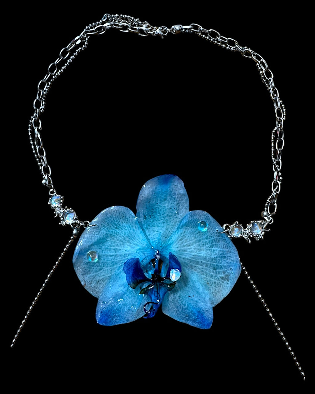 Große blaue Orchidee
