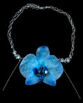 Big blue orchid