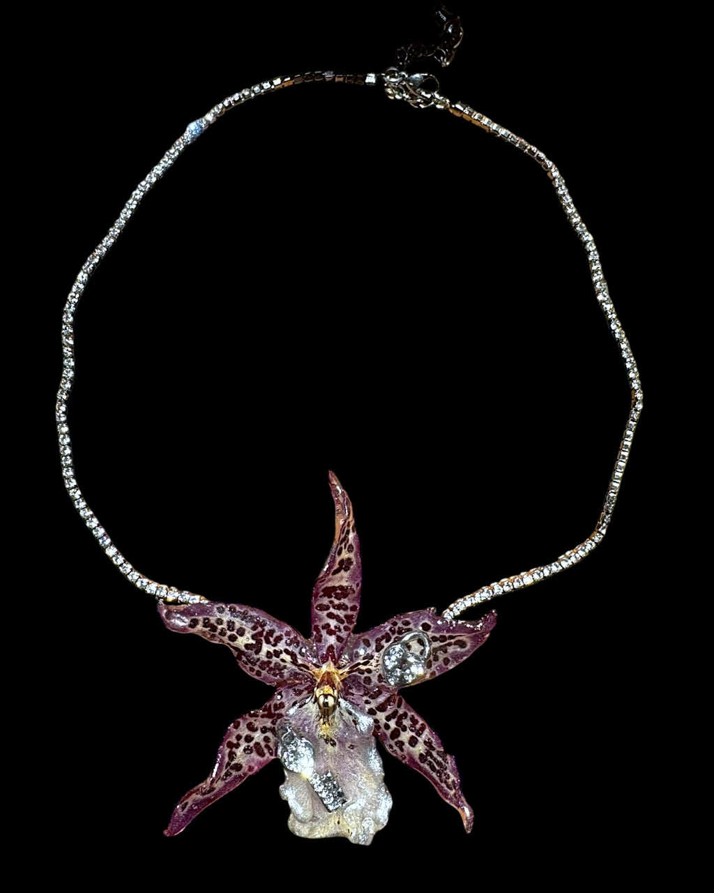 Dunkelbraunes Leopardenmuster Brassia