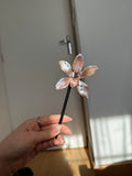 Sab orchid