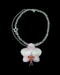 Star orchid