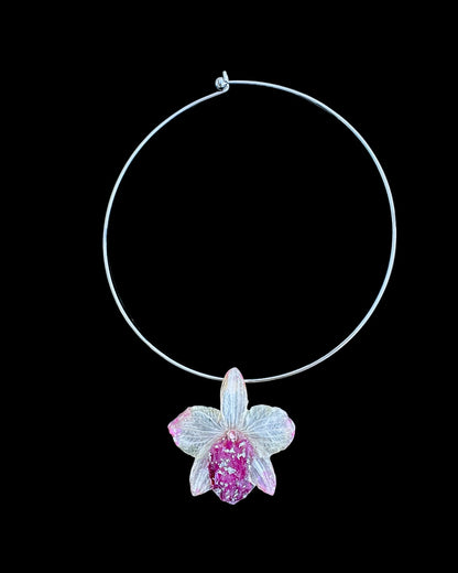 Fuchsien-Orchidee