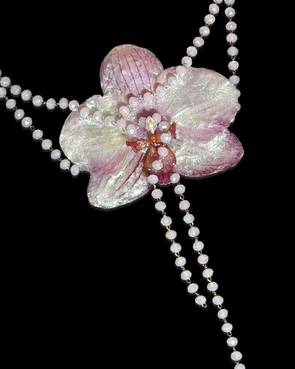 Perlmuttfarbene Orchidee