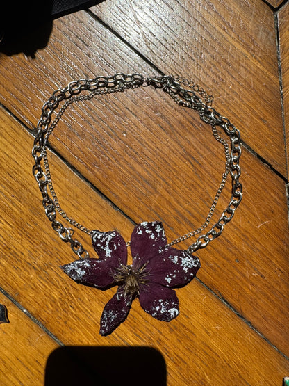 Burgunder-Clematis