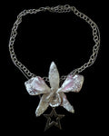 Mirror thaï orchid
