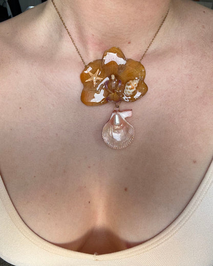 Shell orchid