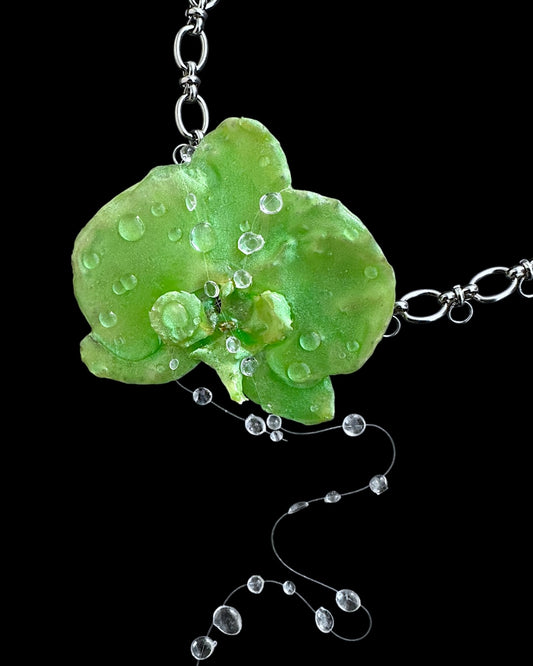 Green chrome orchid