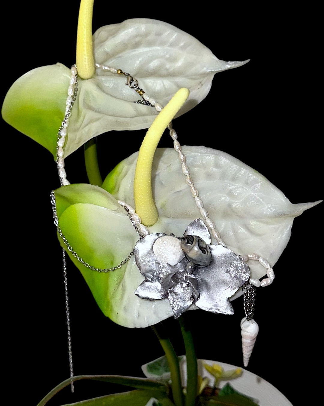 Chrome shell orchid