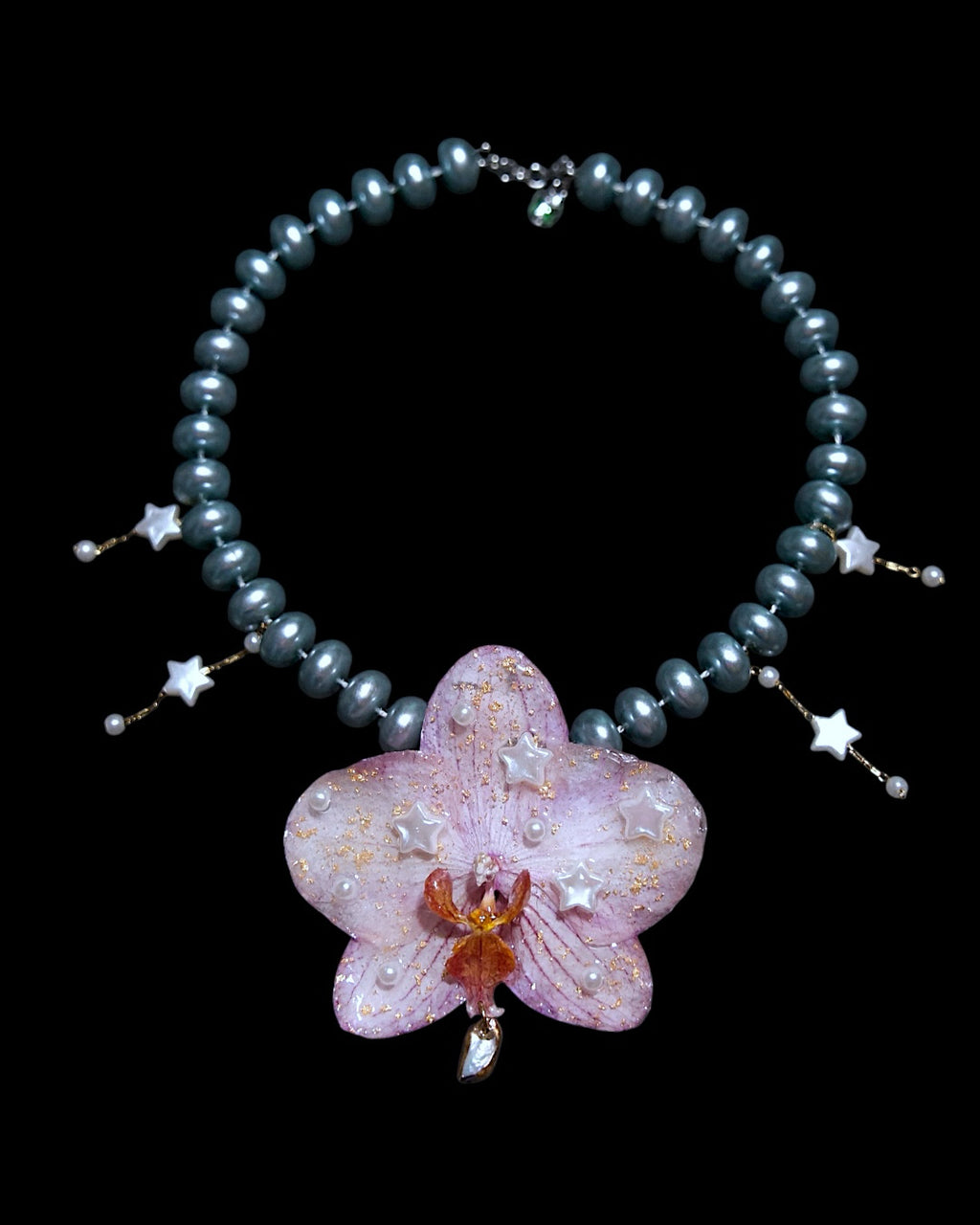 Große Sternorchidee