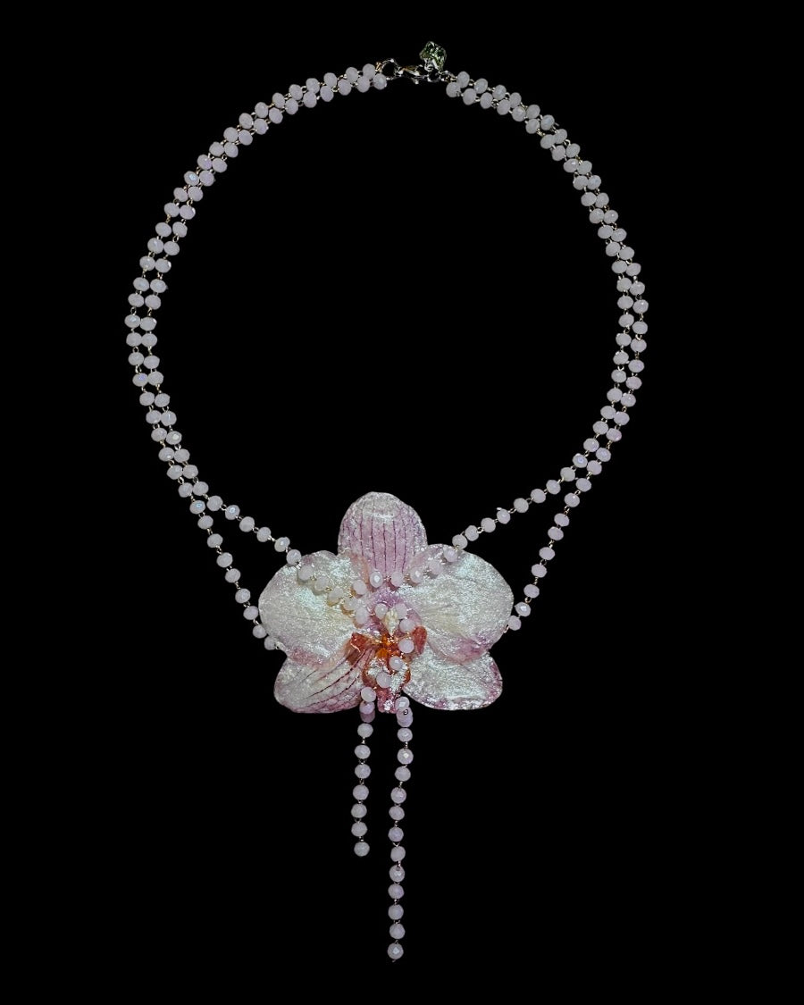 Perlmuttfarbene Orchidee