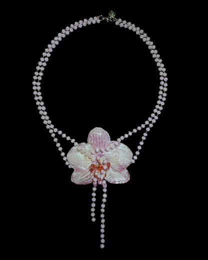 Perlmuttfarbene Orchidee