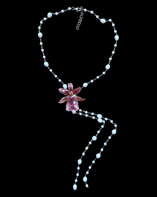Pearly oncidium