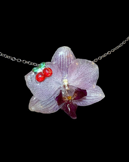 Mini cherry orchid