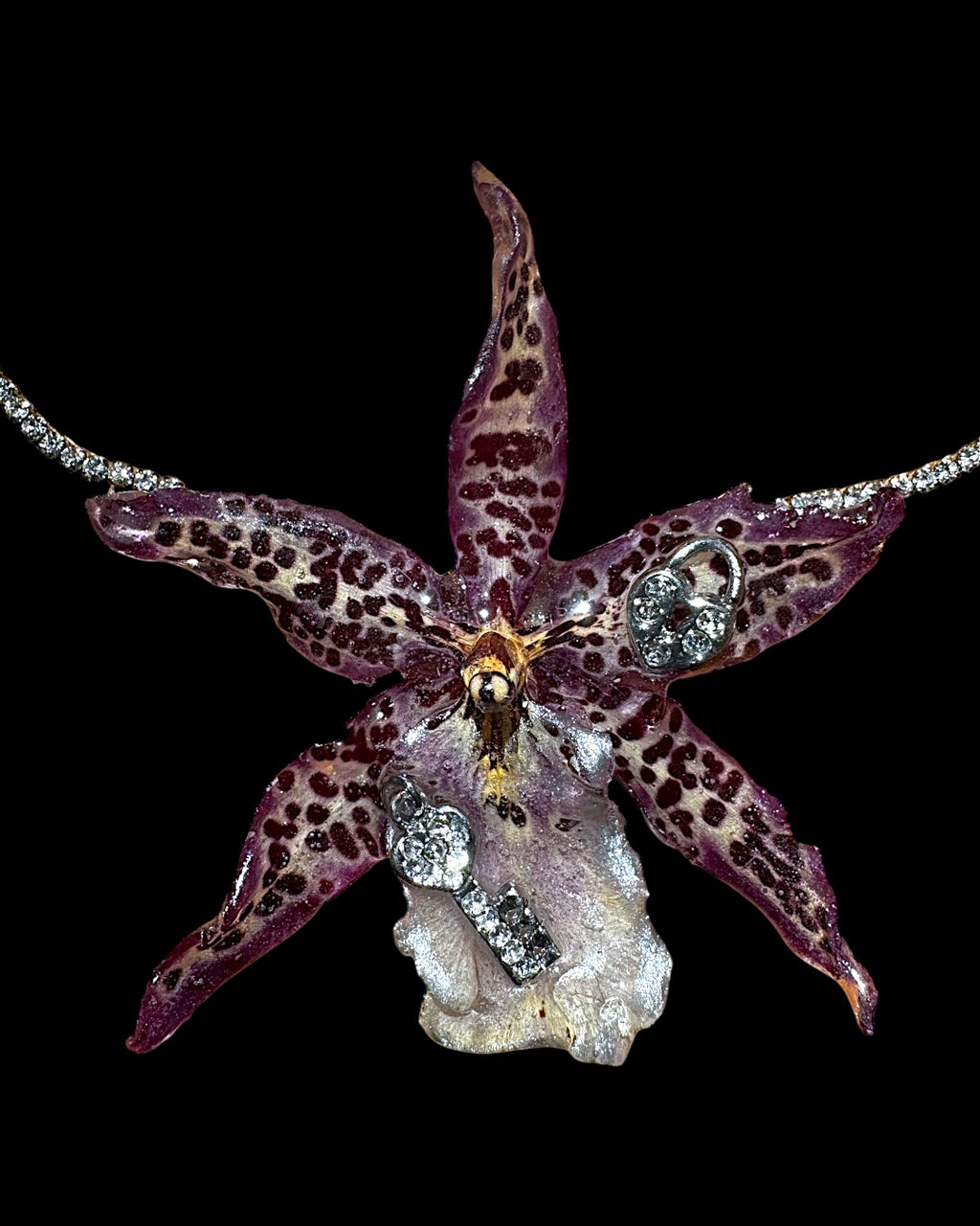 Dunkelbraunes Leopardenmuster Brassia