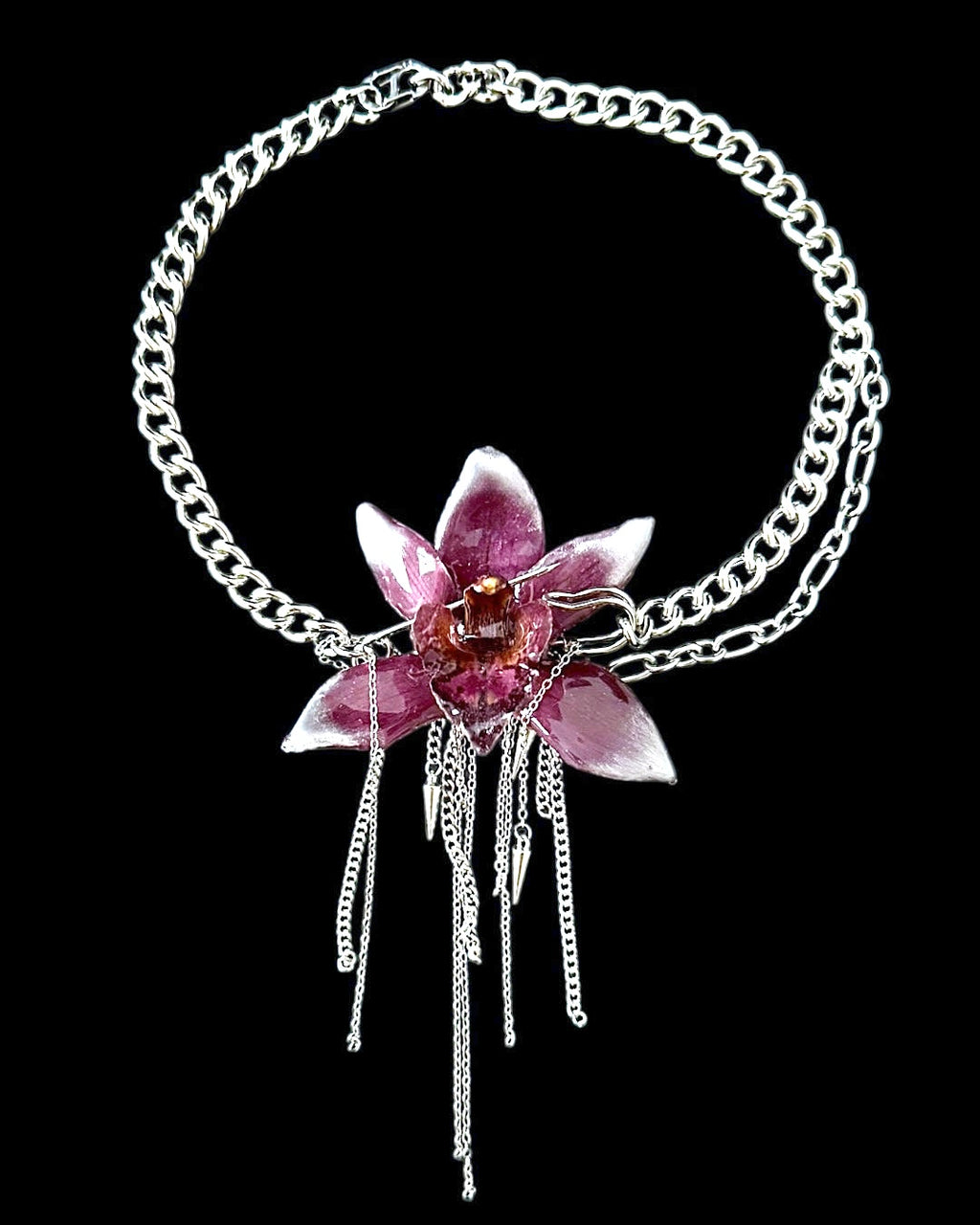 Silvium orchid