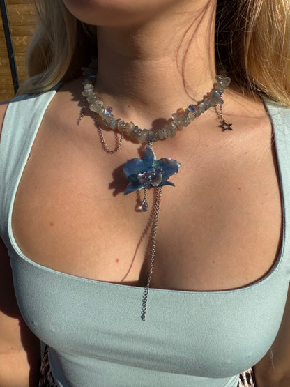 Nymph orchid