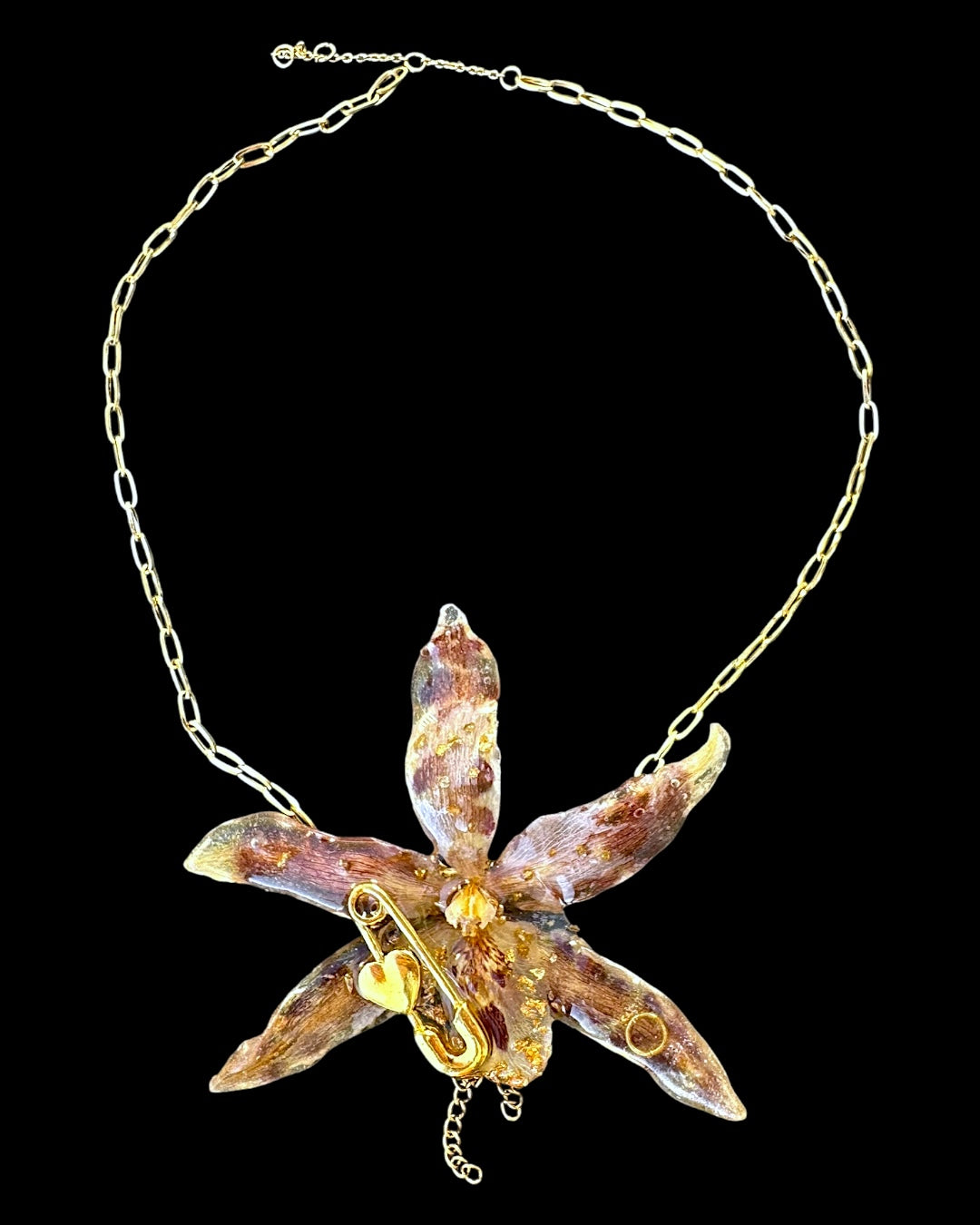 Goldy leopard brassia