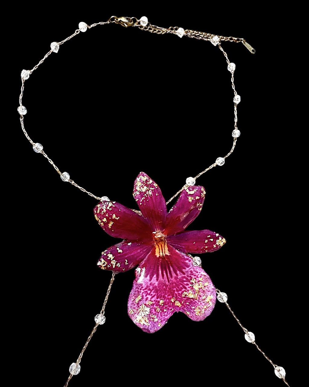 Oncidium pink orchid