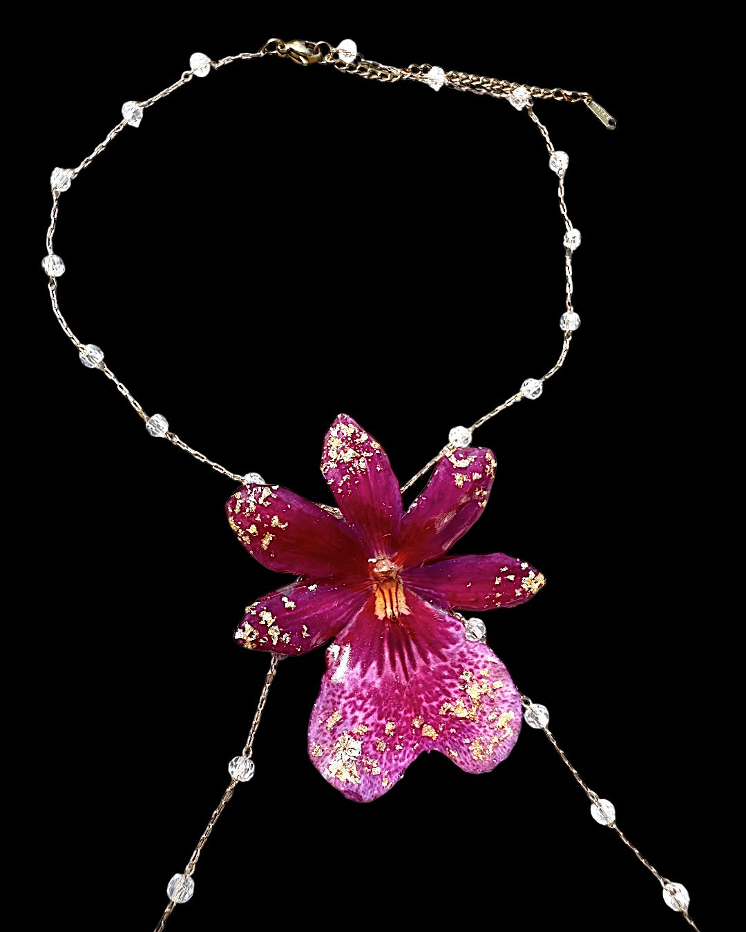 Oncidium pink orchid