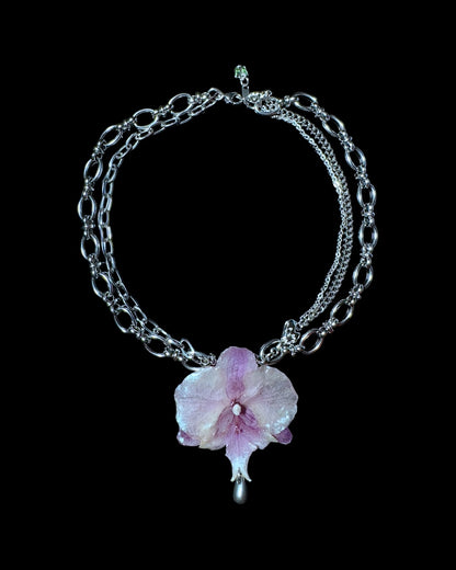 Lila Orchidee