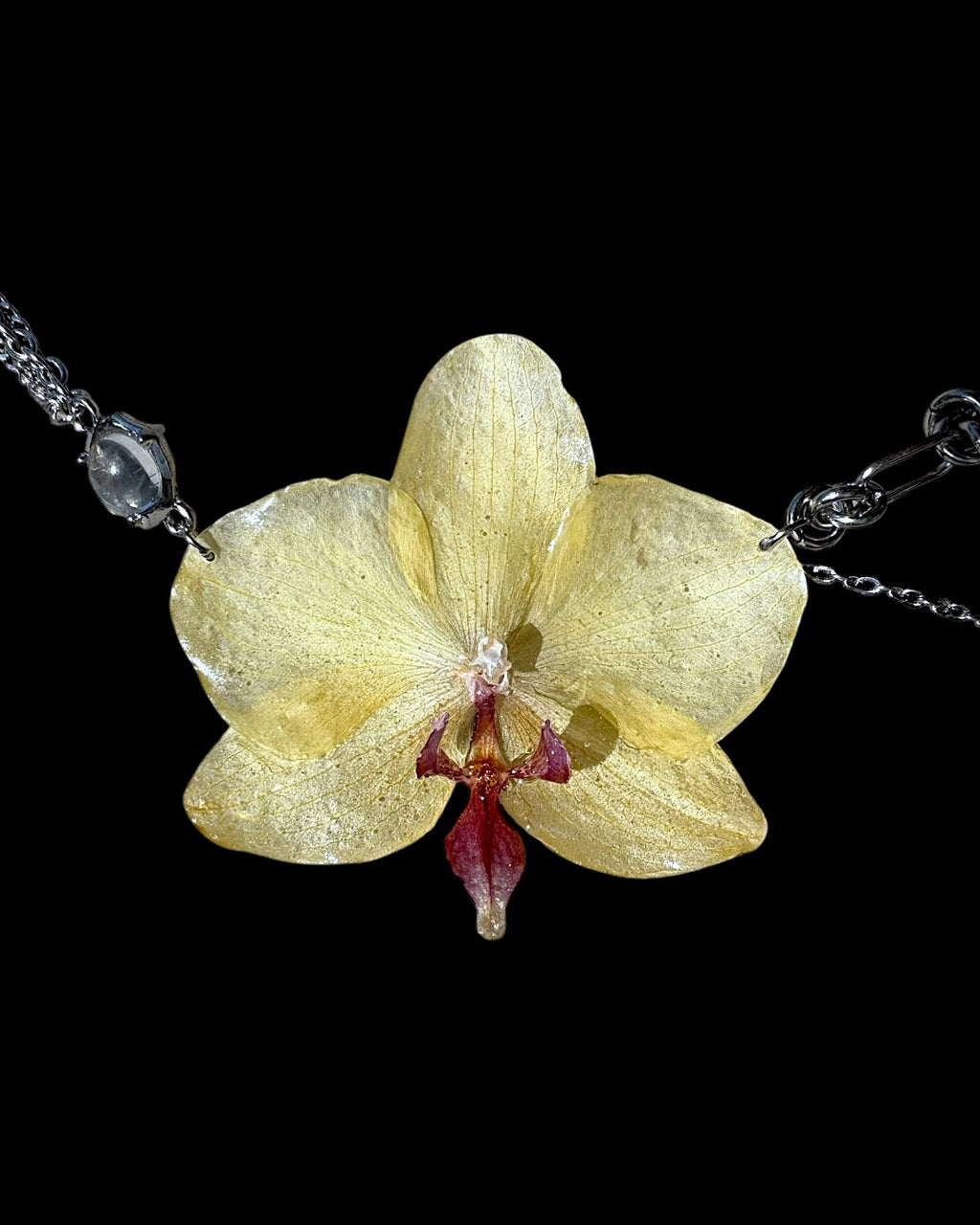 Gelbe Orchideenkette