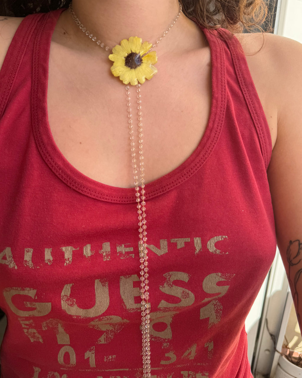 Melo daisy