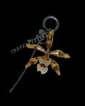 Leopard mini orchid