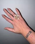 Rosa canina ring