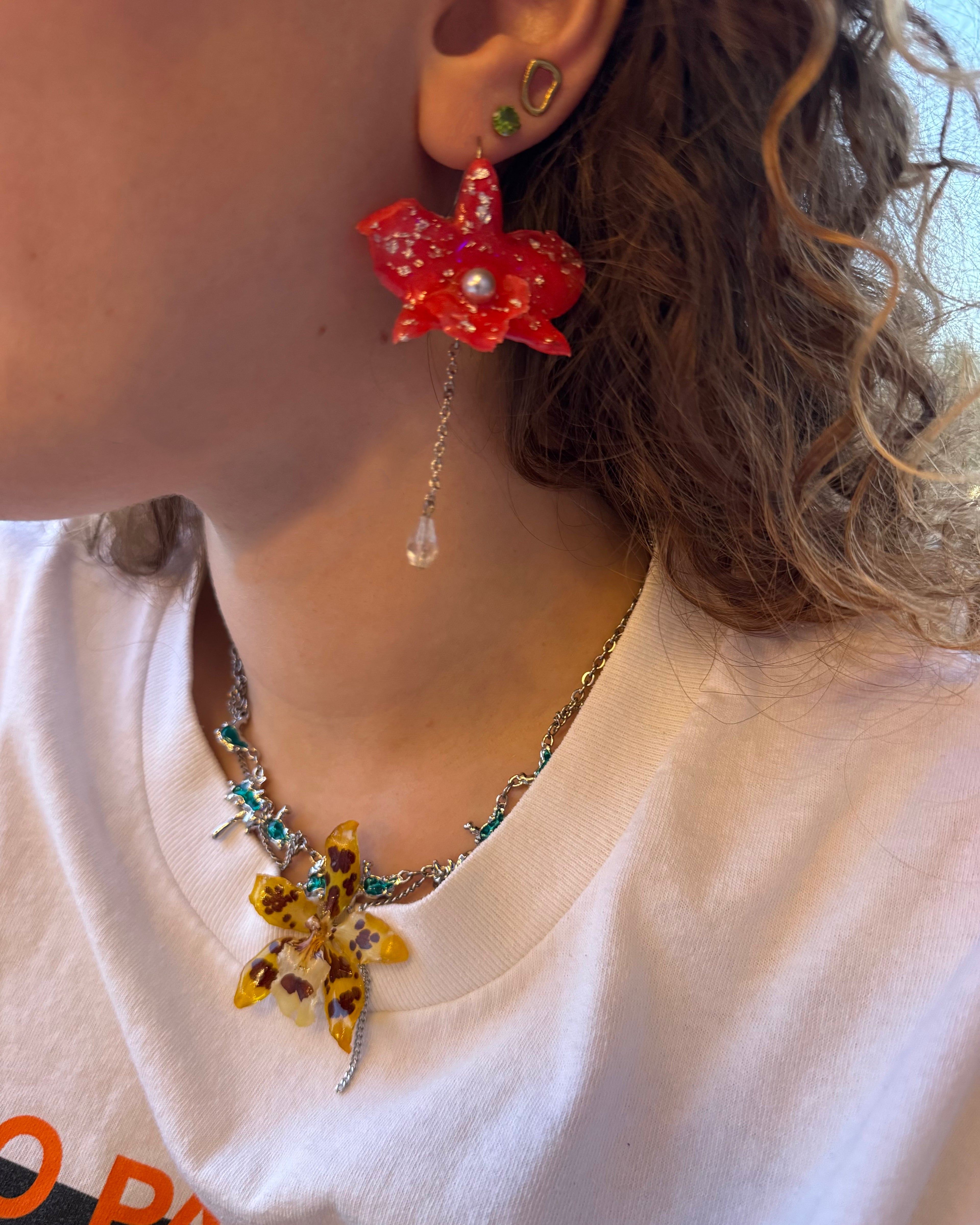 little red dendrobium