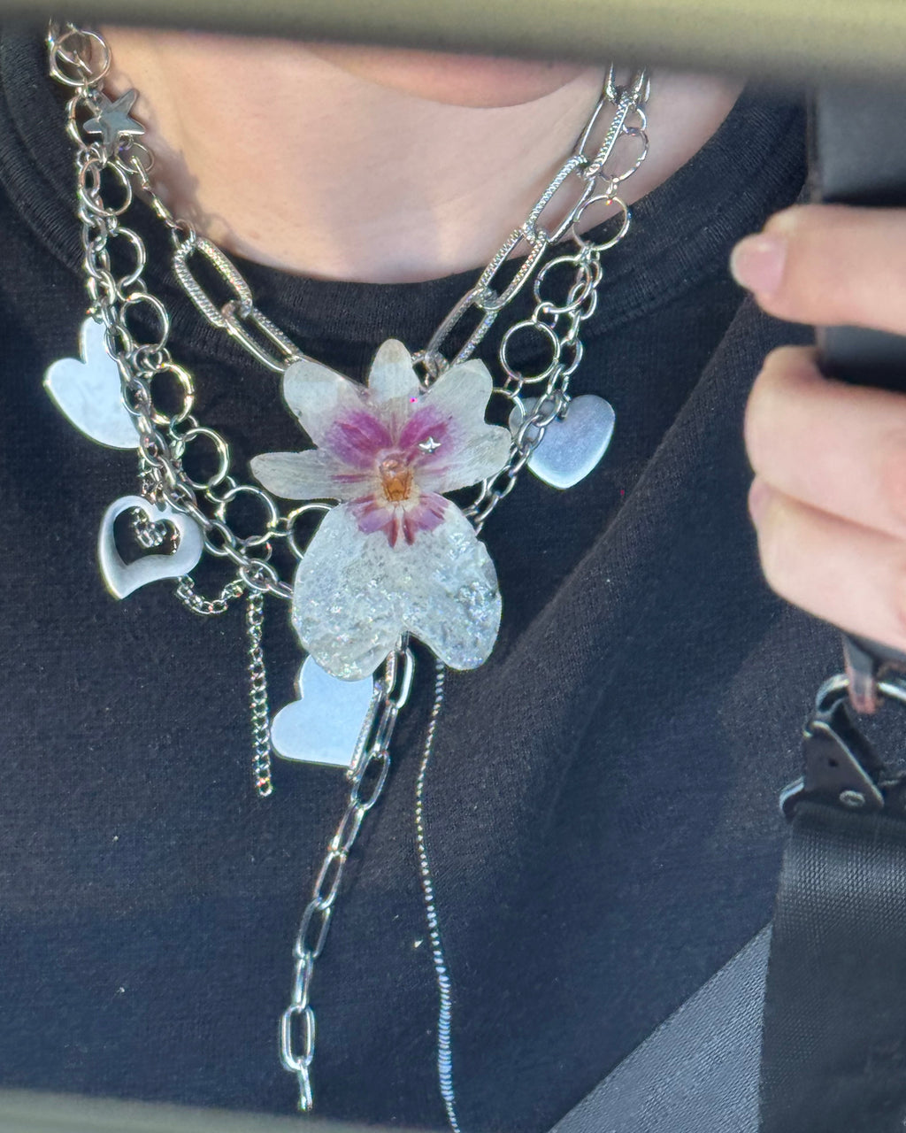 Messidy orchid