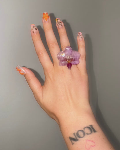 Lila Mini-Orchidee