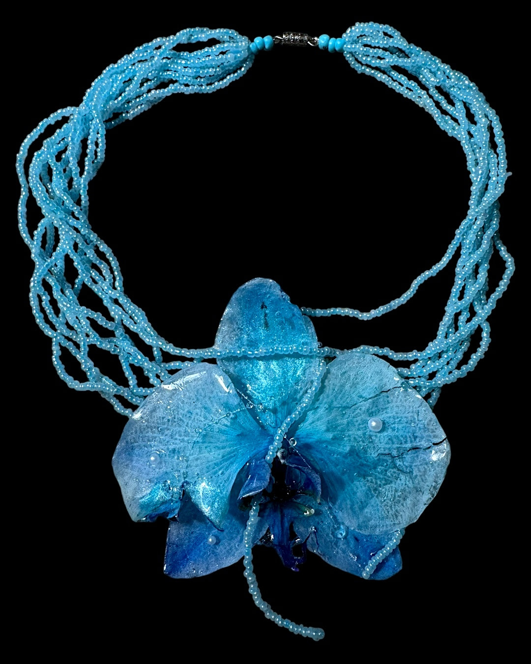 Big blue orchid